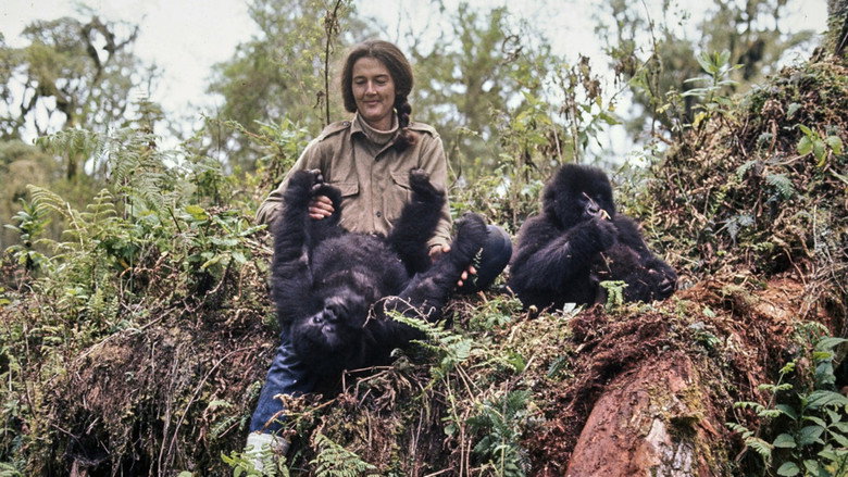 Dian Fossey: Ihr Leben für die Gorillas still 1