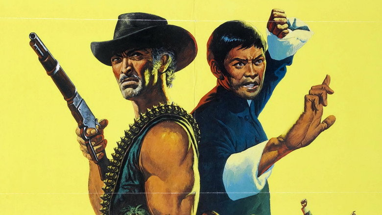 The Stranger and the Gunfighter still 6