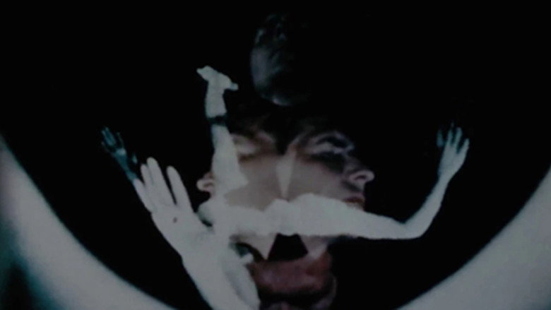 Introspection still 3