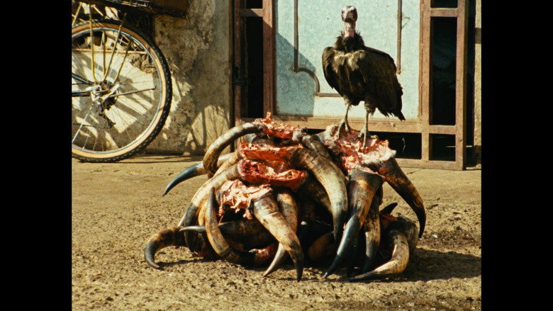 Amílcar still 1