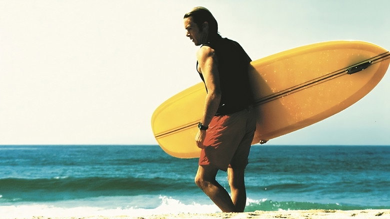 Single Fin Yellow still 1