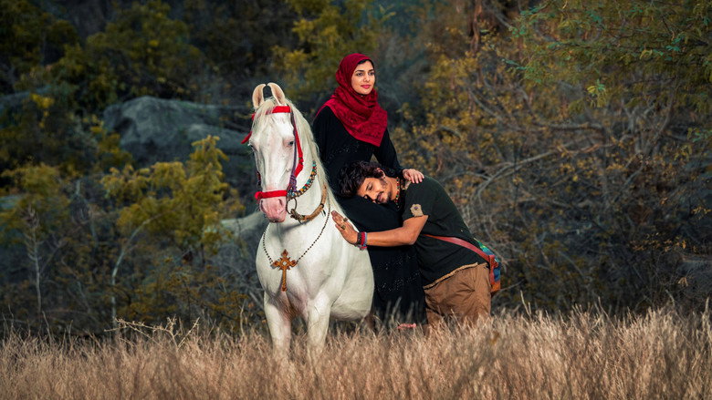 Gypsy still 5