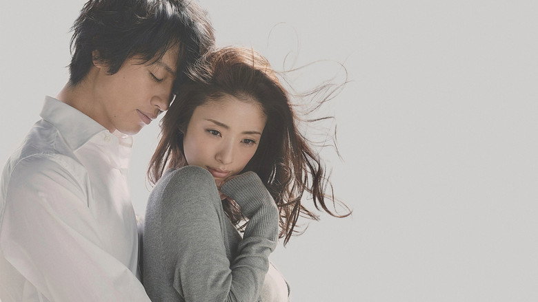 Hirugao still 4