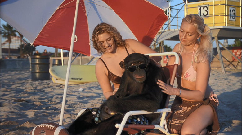 Funky Monkey still 4