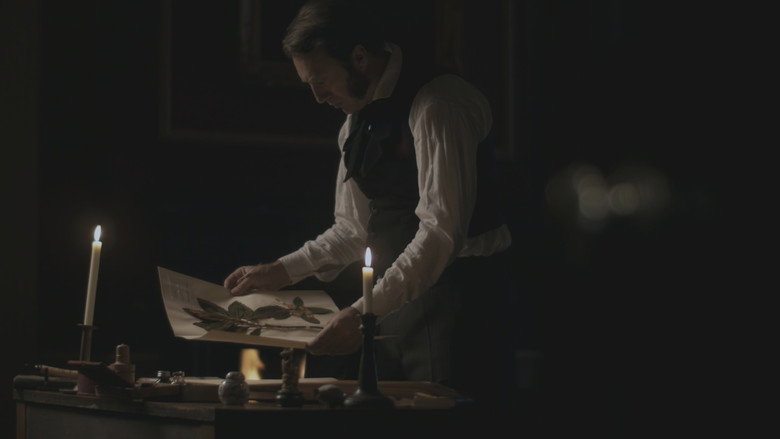 Tea War: The Adventures of Robert Fortune still 6
