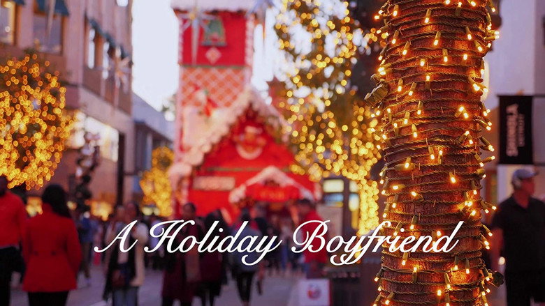 A Holiday Boyfriend still 5