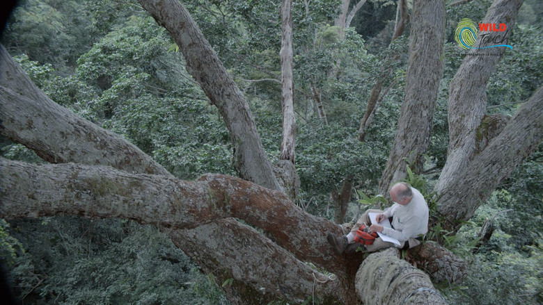Botanist Francis Hallé Explains... still 8