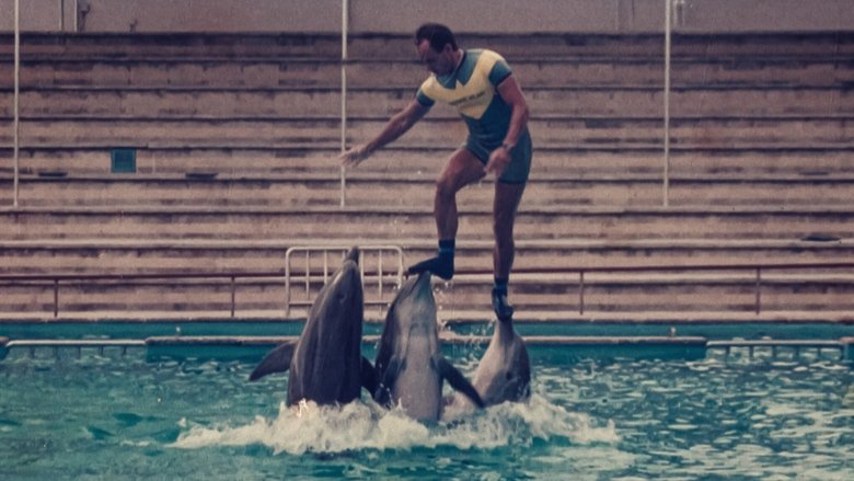 The Last Dolphin King still 1