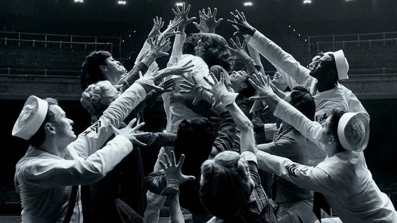 Maestro still 4