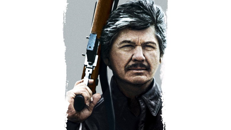Death Wish 4: The Crackdown still 4