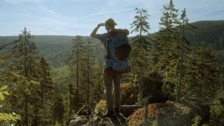 The Wild Forest still 1