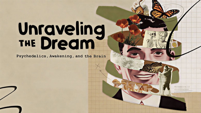 Unraveling the Dream still 1