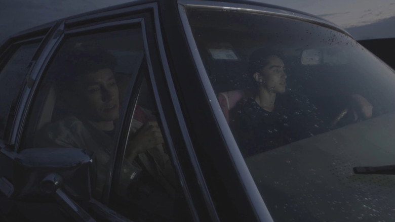Amos, Vogel still 4