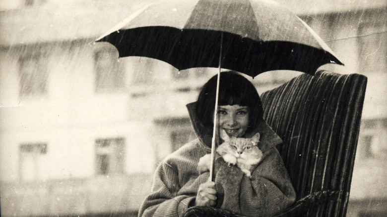 Blind Rain still 3
