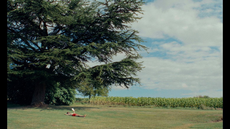 les grillons. still 6