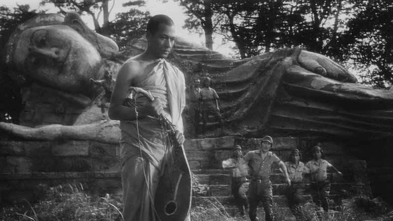 The Burmese Harp still 3