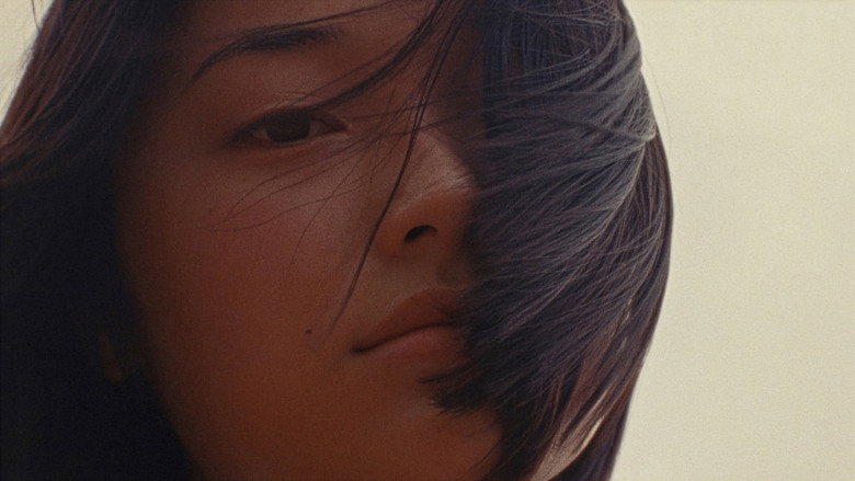 Zi still 2