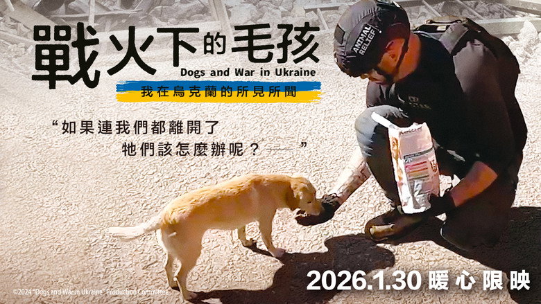 Dogs and War: What I saw in Ukraine still 5