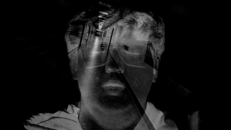 The Cracks still 4