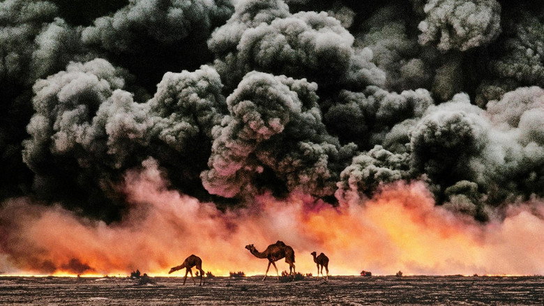 McCurry: The Pursuit of Colour still 2