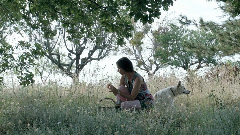 Trois oiseaux bleus still 4