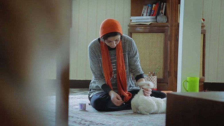 The Cats still 4