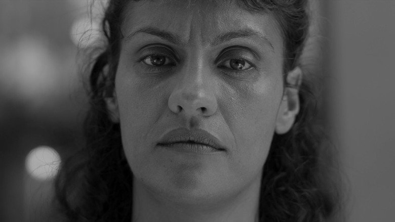 Avenca still 3