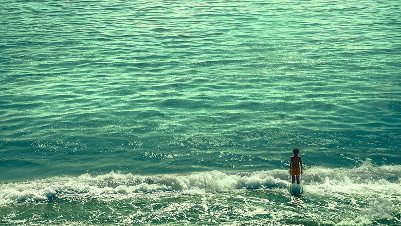 My Summer with the Shark still 3