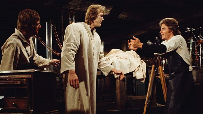 Frankenstein still 2