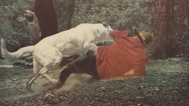 Yukon Gold still 1