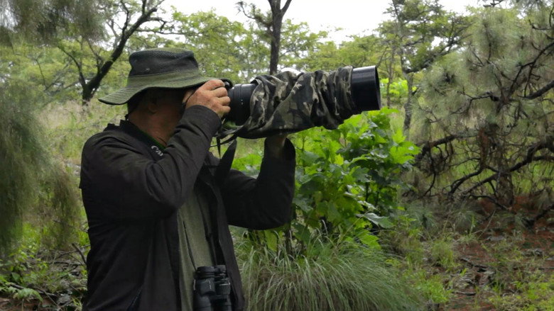 Shutter Shooter still 1