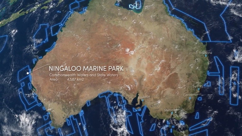 SANCTUARY - Safeguarding Australia's Oceans still 2