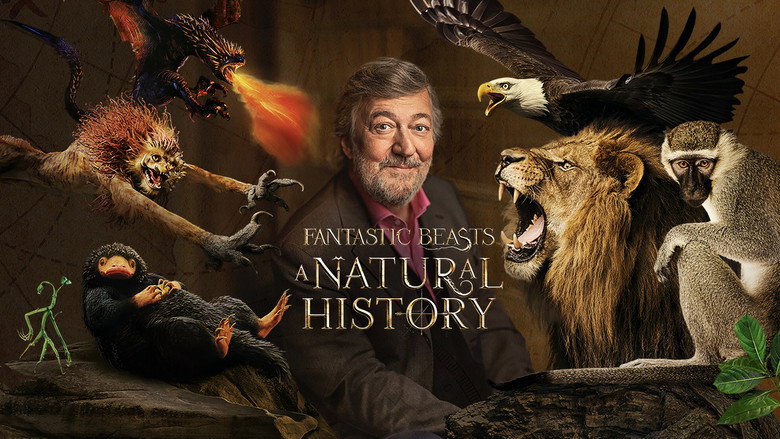 Fantastic Beasts: A Natural History still 2