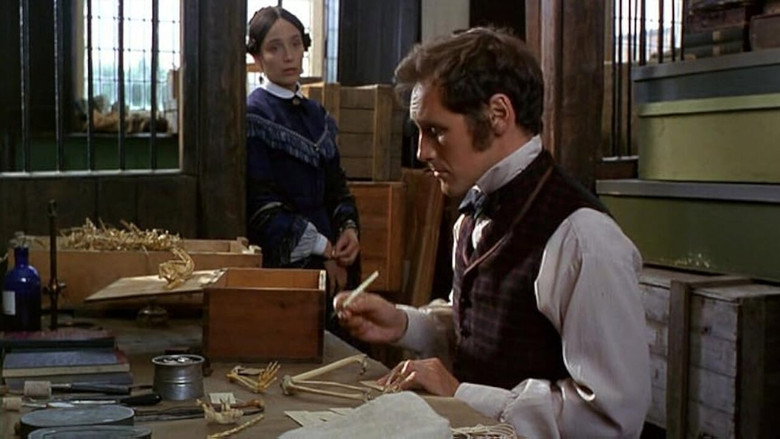 Angels and Insects still 3