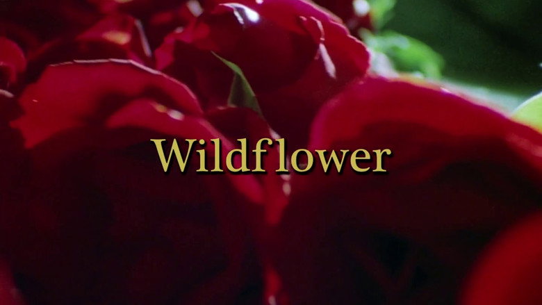 Wildflower still 4