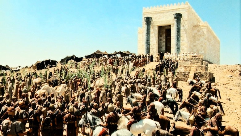Solomon still 8