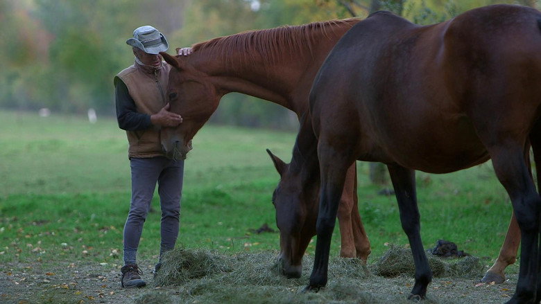 Un cavalier, un rêve, Boucane still 1