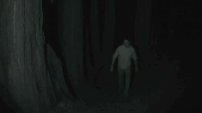 The Victim still 2