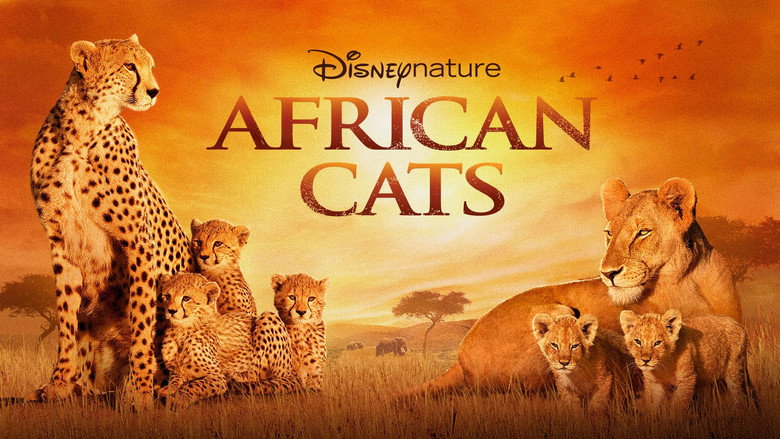 African Cats still 3