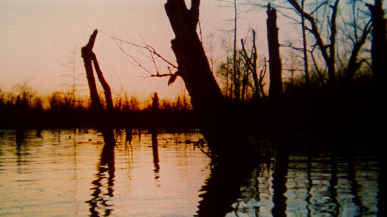 The Legend of Boggy Creek still 7