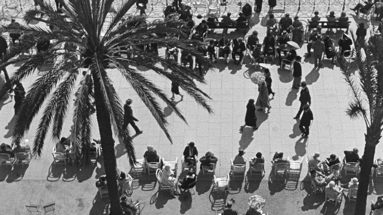 À propos de Nice still 2
