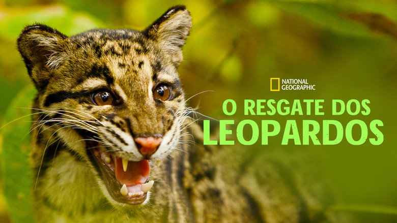 Return of the Clouded Leopards still 3