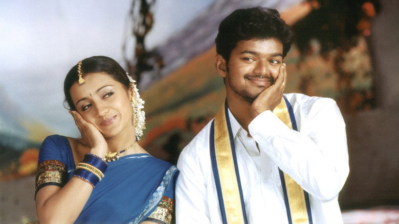 Ghilli still 8