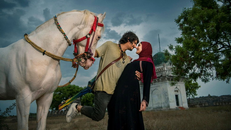 Gypsy still 2