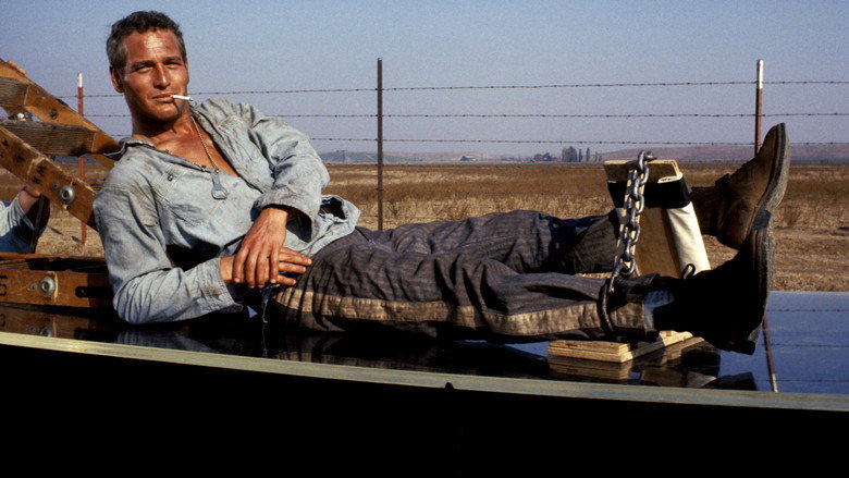 Cool Hand Luke still 7