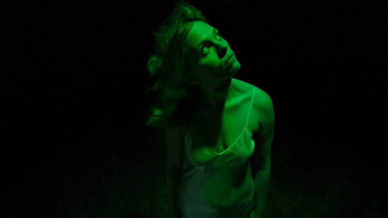 Night Spider still 2