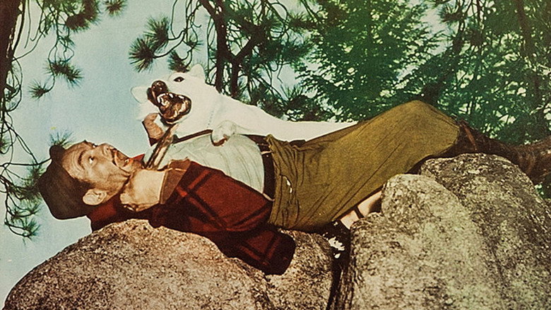 Northwest Territory still 1