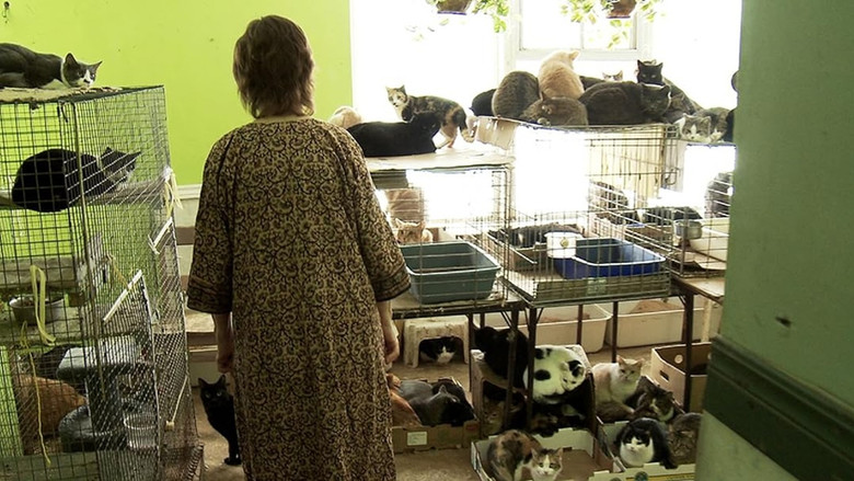 Cat Ladies still 2