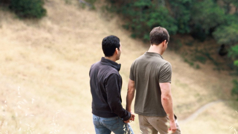 Redwoods still 8