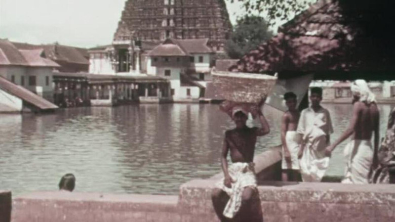 Street Scenes in India still 1